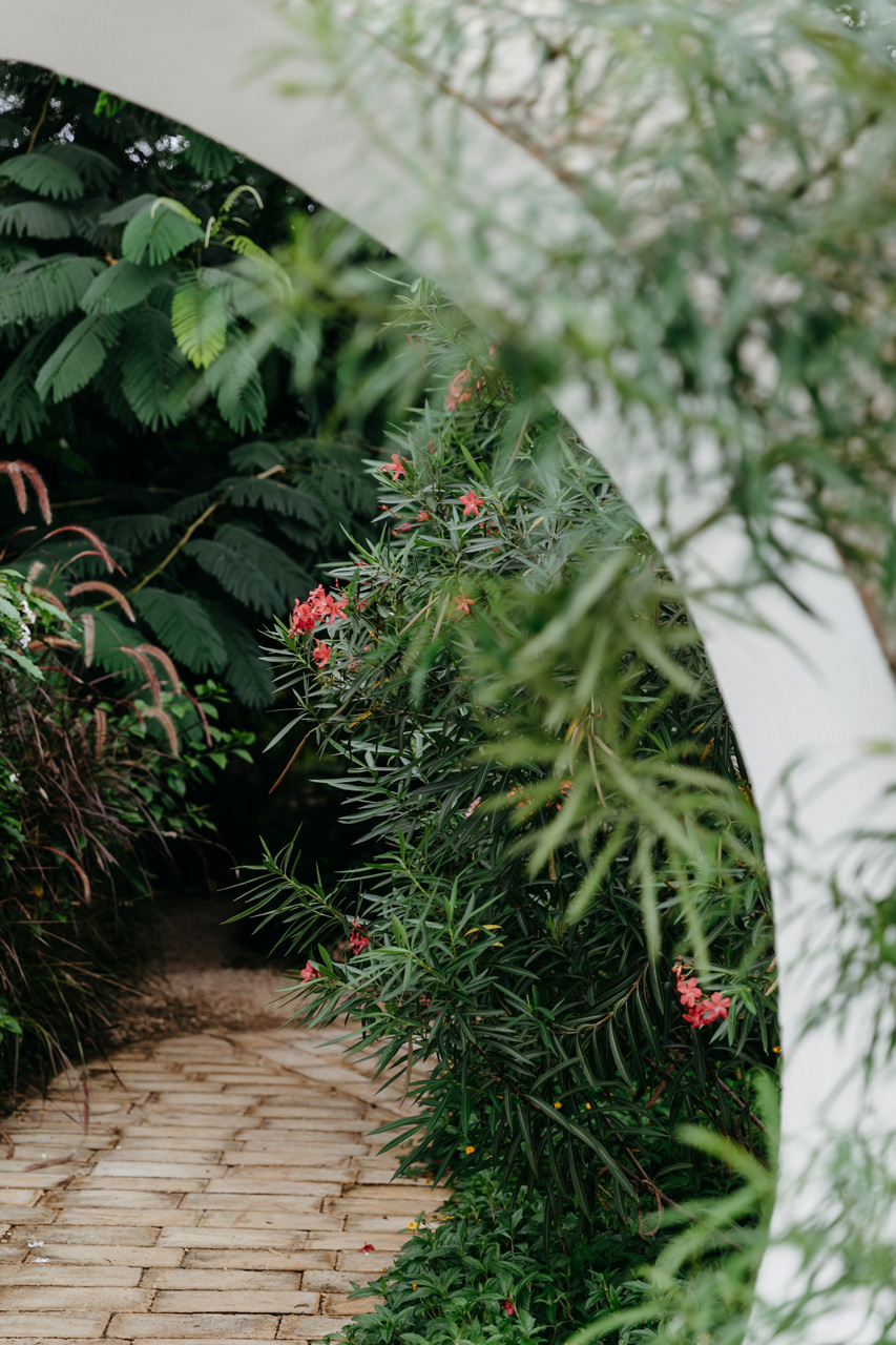 从森林浴到沙洲瑜伽