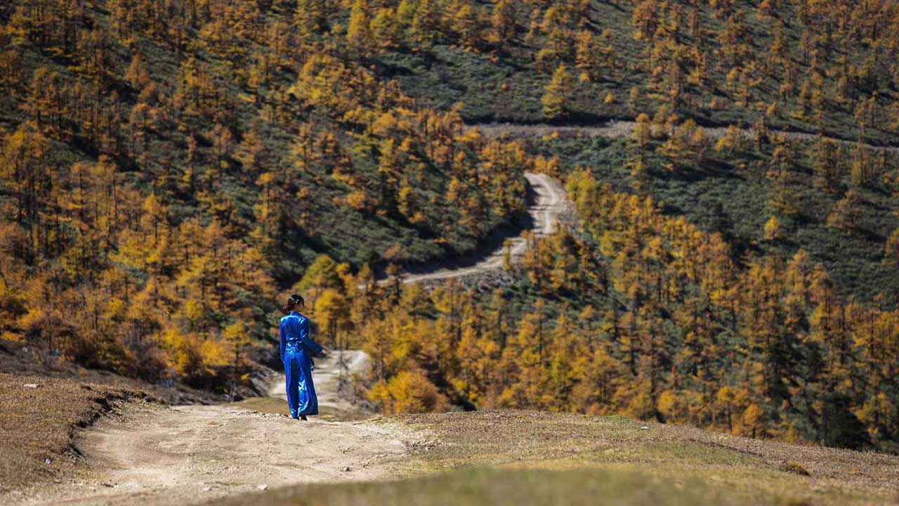 远足云南醉美自然风光