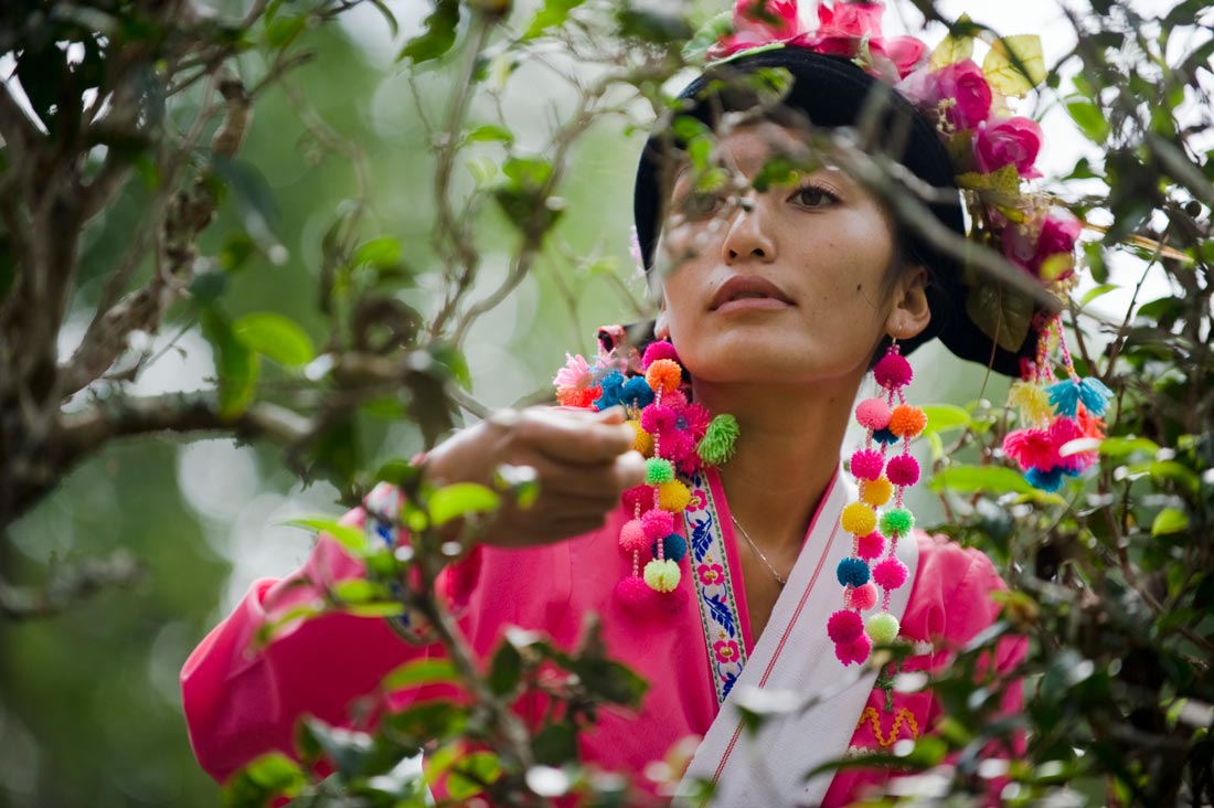 img2: 中国茶马道丽世酒店