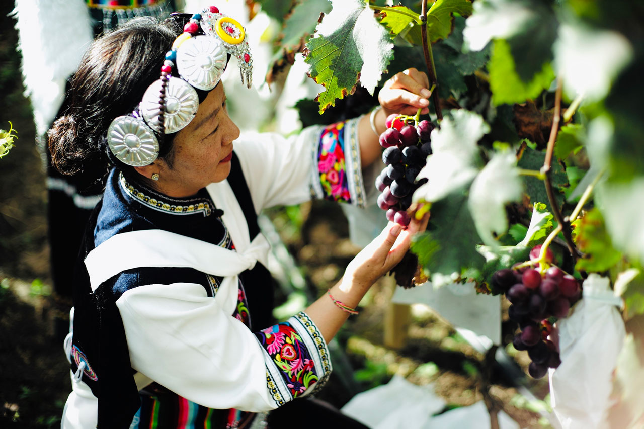 小米地的时空之旅
