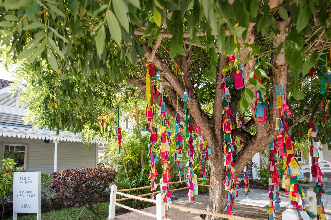 联合住宿特别优惠