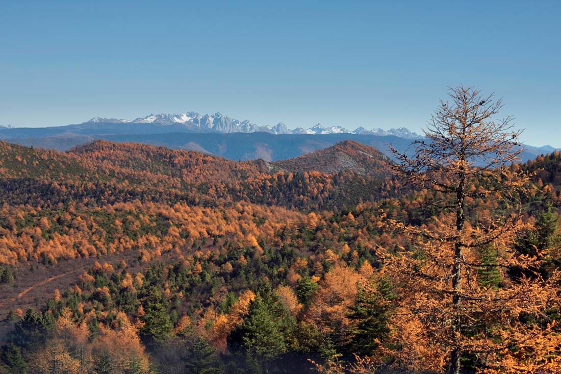 印象丽江 第四天